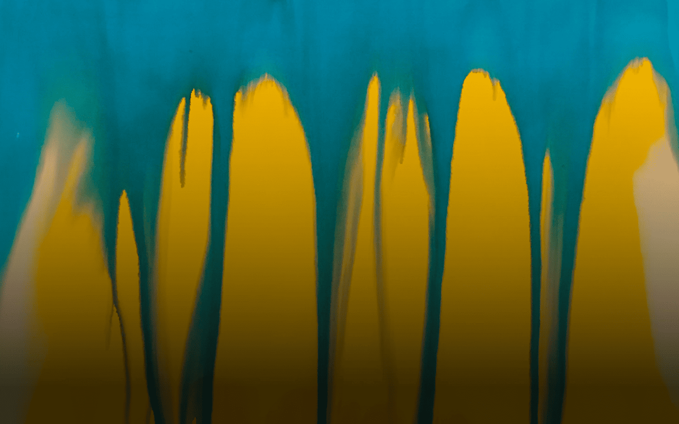 CARSA The Thinking Company