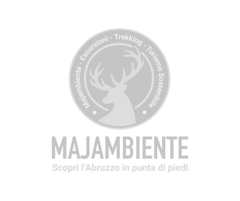 Majambiente